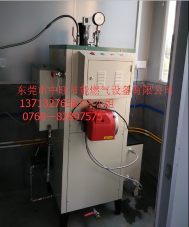 燃油蒸汽机4.JPG