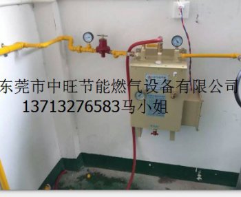 酒店专用壁挂式煤气气化