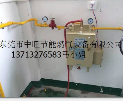 20KG汽化炉.JPG