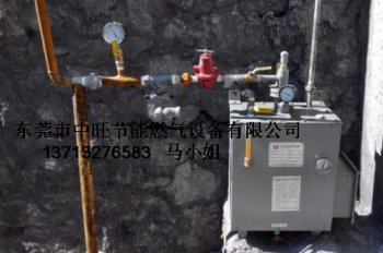50KG壁挂式汽化炉