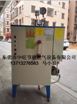 化妆品行业配套电加蒸汽