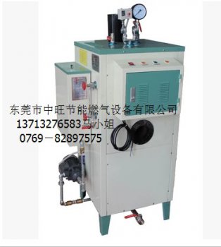 柴油燃气蒸汽发生器