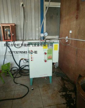 中旺36KW电蒸汽发生器